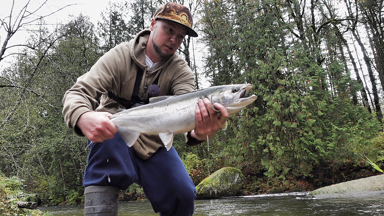 Crushing Coho On Twitch Jigs (LOTS OF FISH)