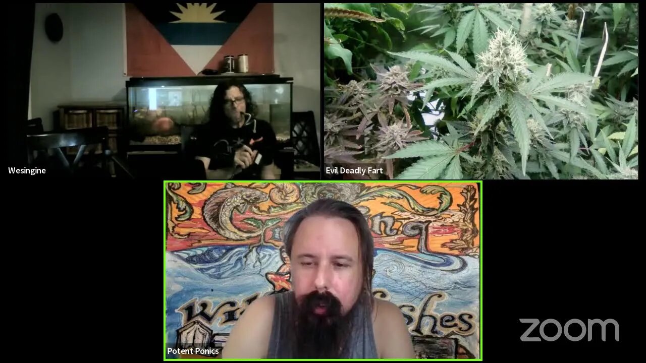Dat Smoke Show dreads and nipps