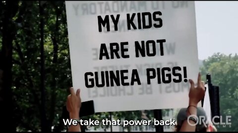DAVID ICKE - A MESSAGE TO THE FREEDOM FIGHTERS