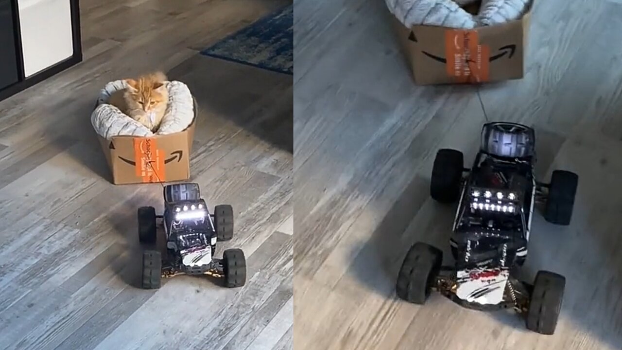Cat battery in the car automatic