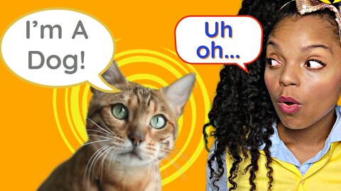 Objective Truth For Kids! With Animals!