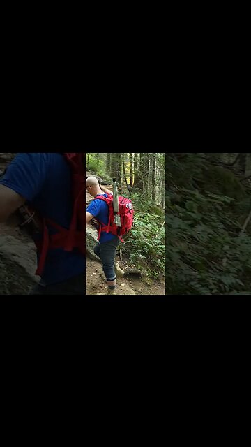 #nature #pnw #hikingtrails #hiking #naturehike #solohiking