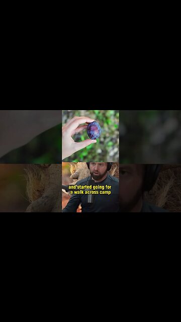 Hilarious Warthog Chase on Safari in Zimbabwe - A Funny Story by Forrest Galante - Joe Rogan