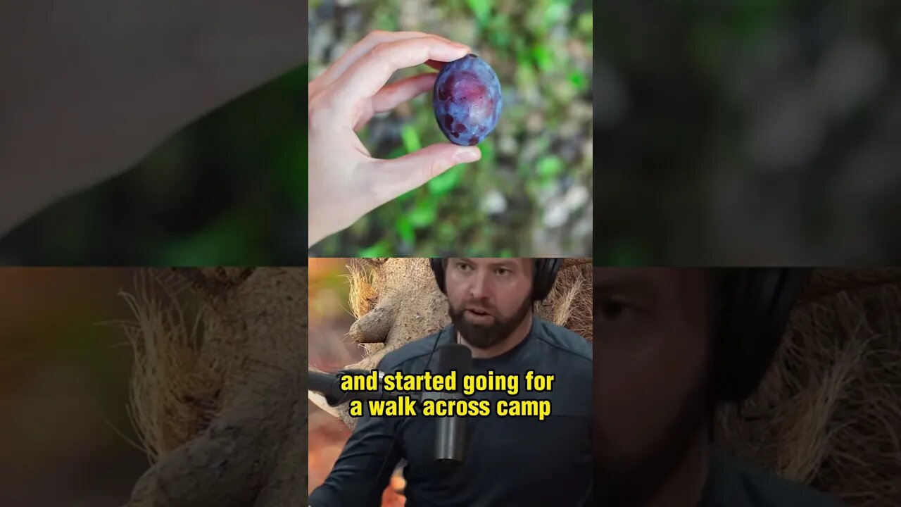 Hilarious Warthog Chase on Safari in Zimbabwe - A Funny Story by Forrest Galante - Joe Rogan