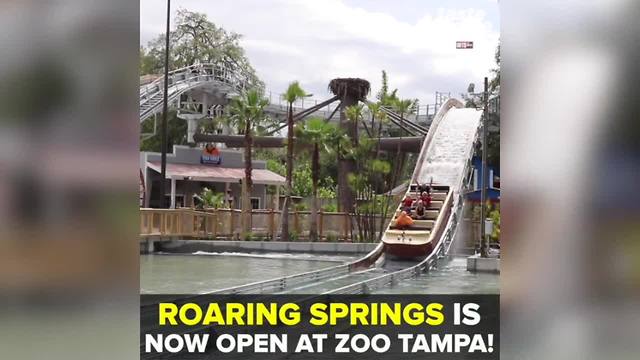 Roaring Springs water opens at ZooTampa | Taste and See Tampa Bay