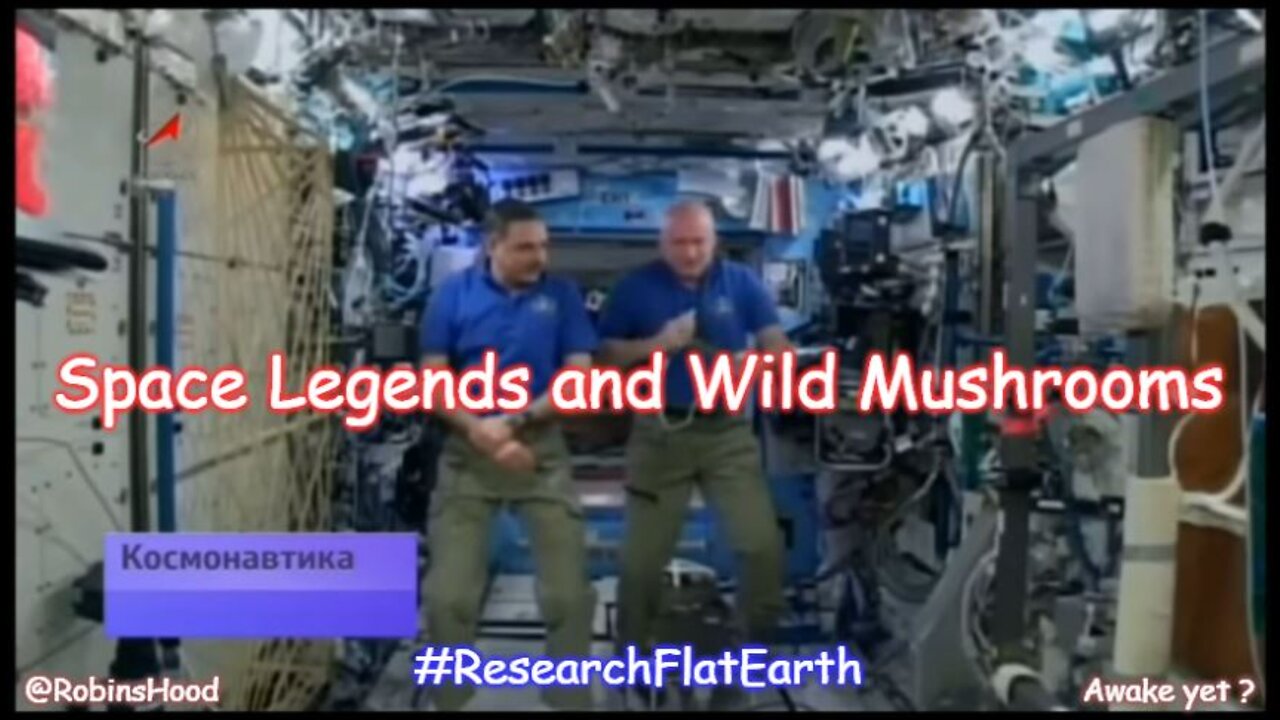 Space Legends and Wild Mushrooms