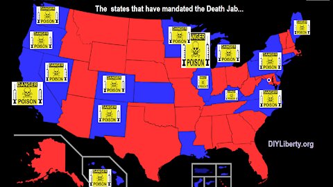 What U.S. States are the Covid Flu-Scam Crash Test Dummies?