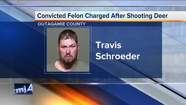 Convicted felon charged after shooting deer