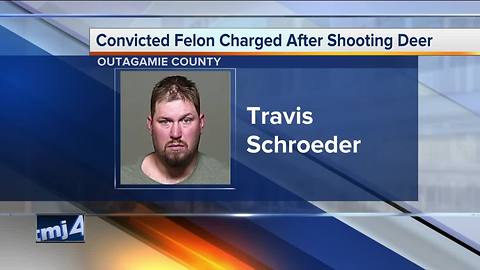 Convicted felon charged after shooting deer