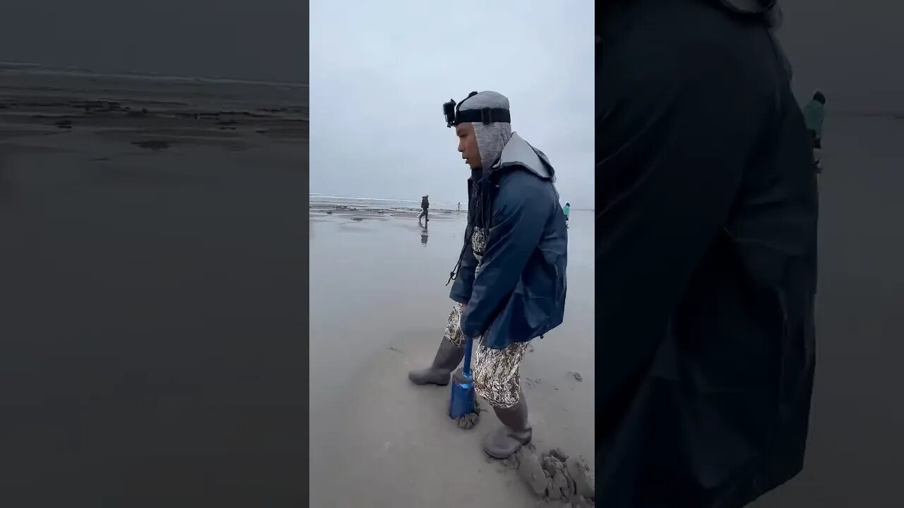 Clam Digging Looks Fun! 😁