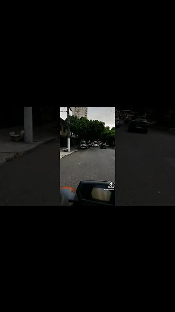 Belém cidade das mangueiras