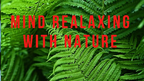 mind relaxing music with beautiful nature