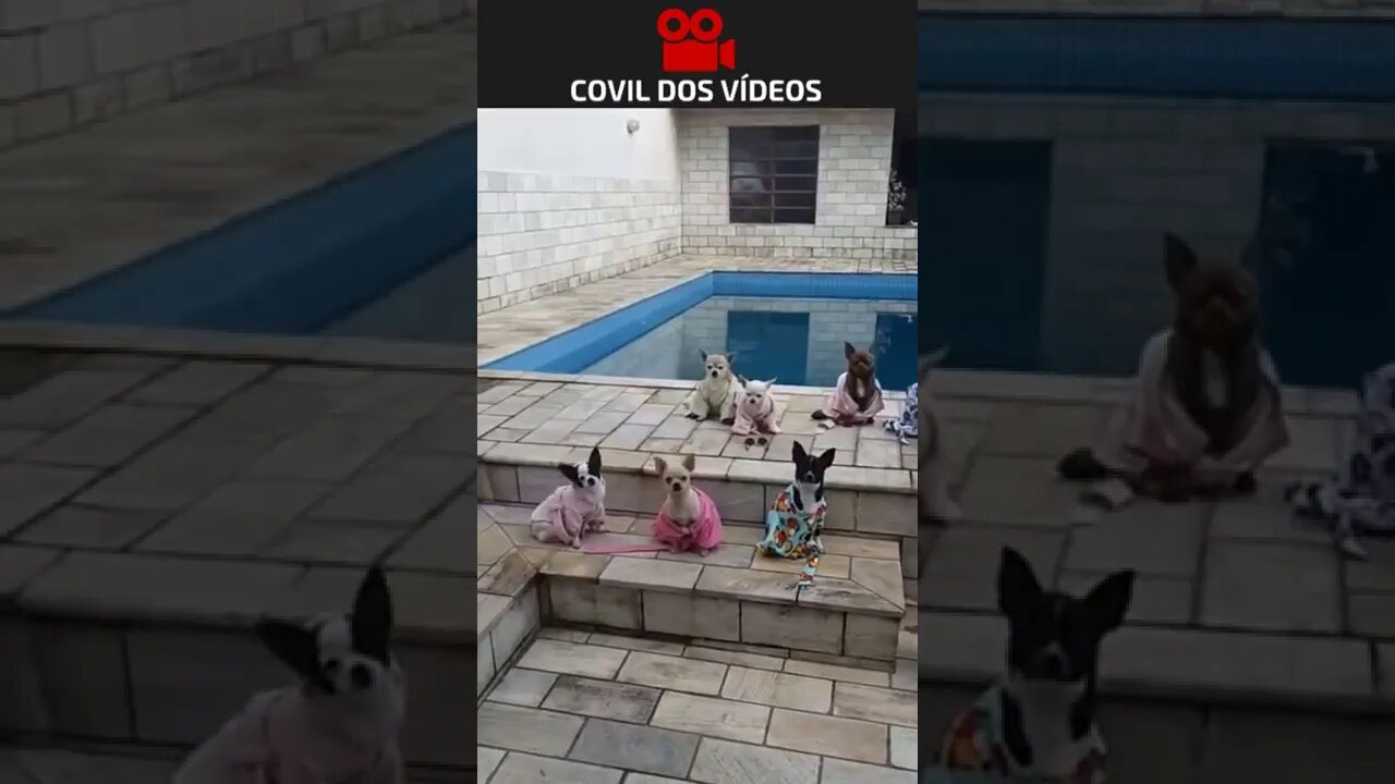 festa na piscina