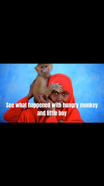 See what happened with hungry monkey and little boy.