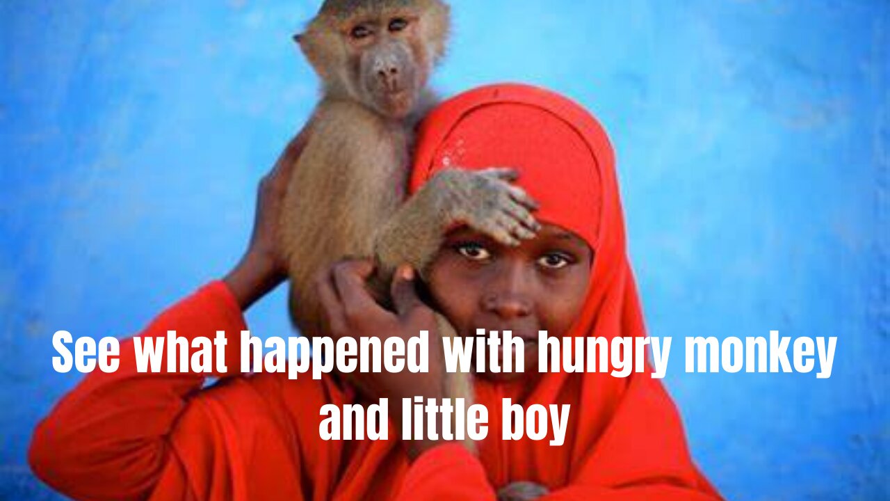 See what happened with hungry monkey and little boy.