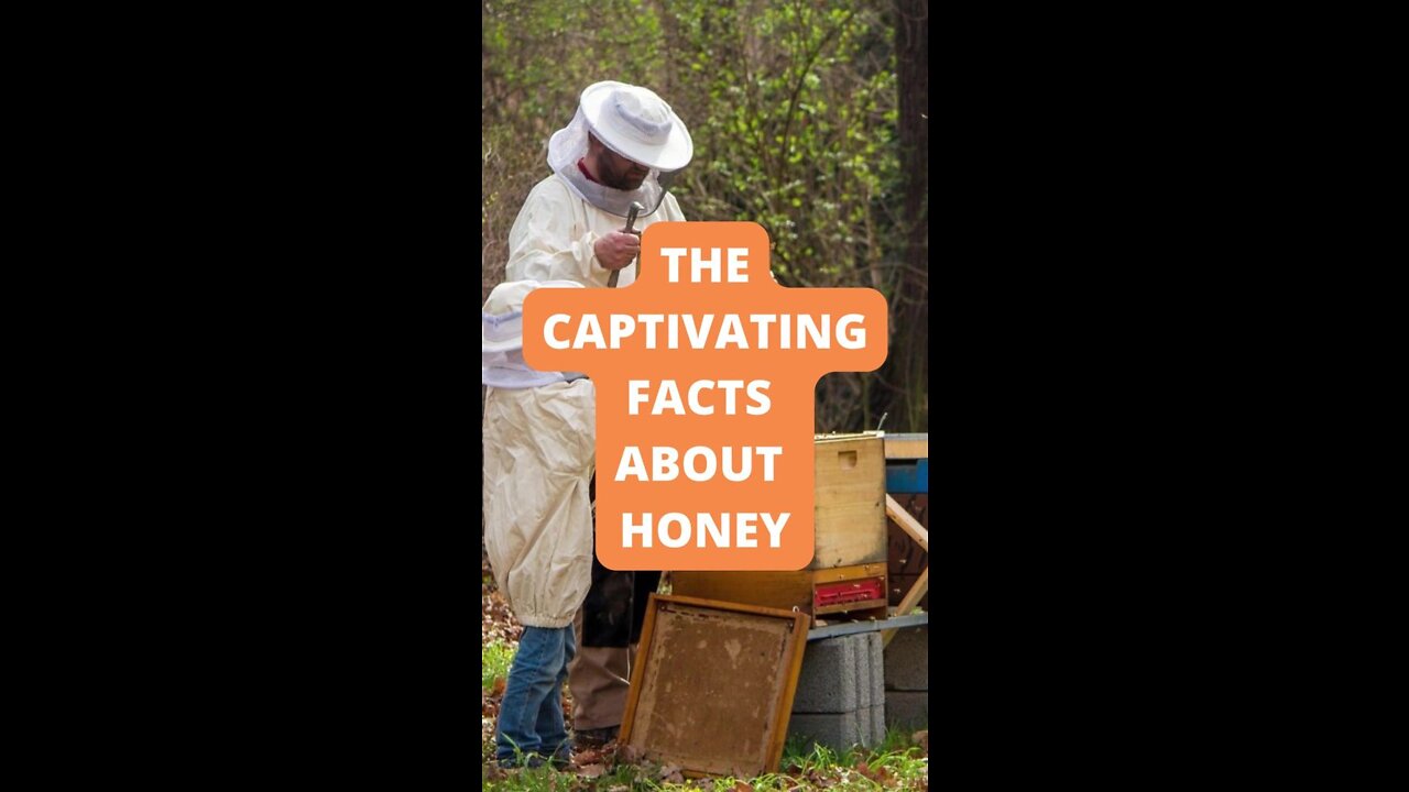 The Captivating Facts About Honey #shorts