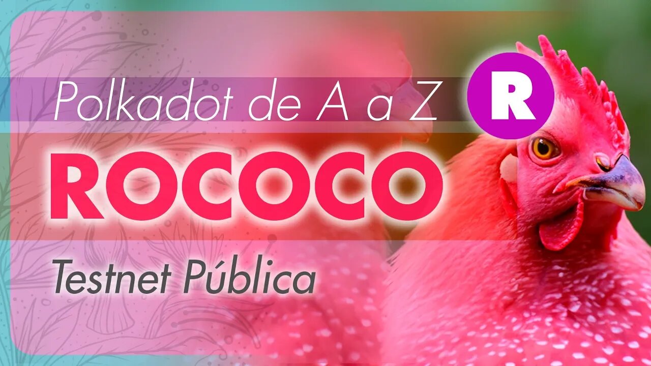 Polkadot de A a Z [Rococo] | Dotsama | DOT | KSM | Notícias Polkadot