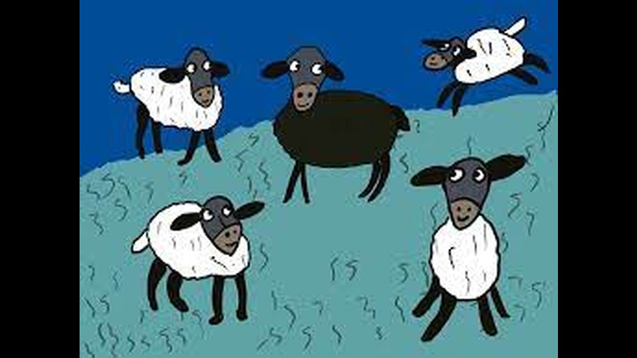 Baa Baa Black Sheep, Kindergarten Song and Poem for Kids