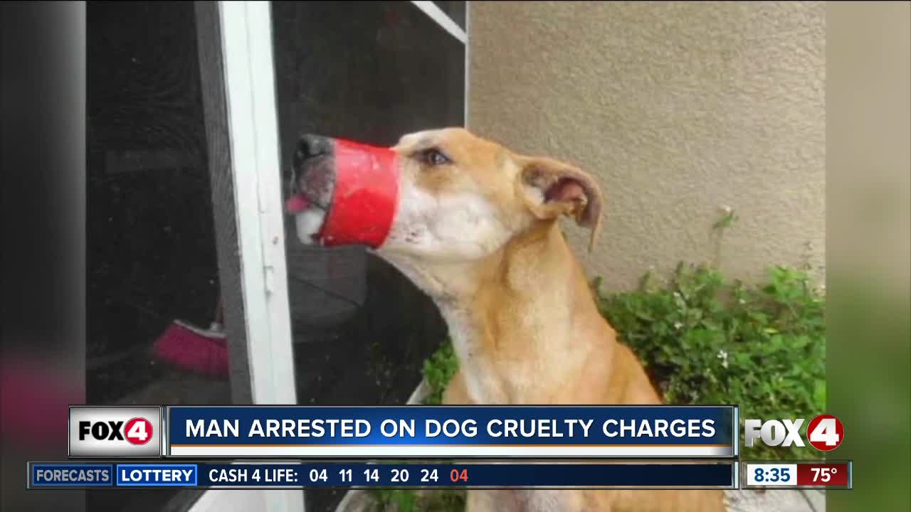 Man arrested on aggravated animal cruelty charges