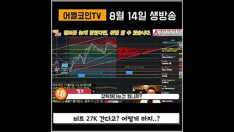 버매수 삼각지대? 3일전 비트코인 하락 예언 적중|쩔코TV 8월14일 #코인전망 #코인분석 #bitcoin #shorts #쇼츠