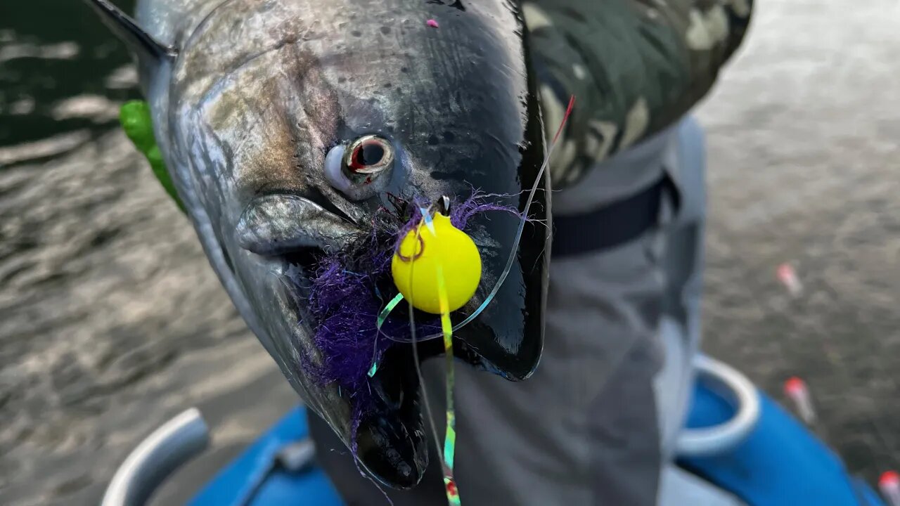 How To Fish Spinners, Spoons, & Twitching Jigs For Spring Salmon Fishing