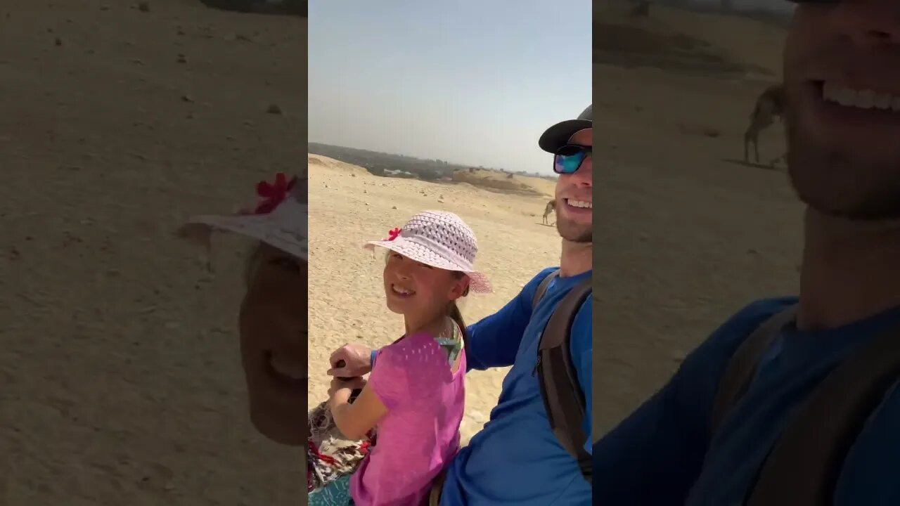 POV you buy your daughter a camel for her birthday #shorts