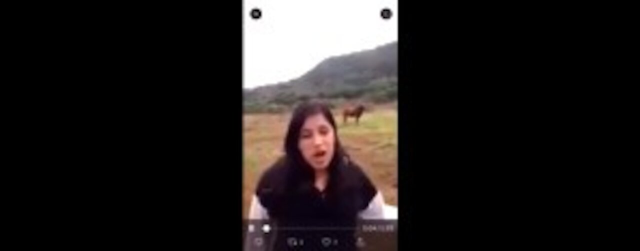 É isso que o MST faz