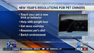 2020 resolutions for pet owners