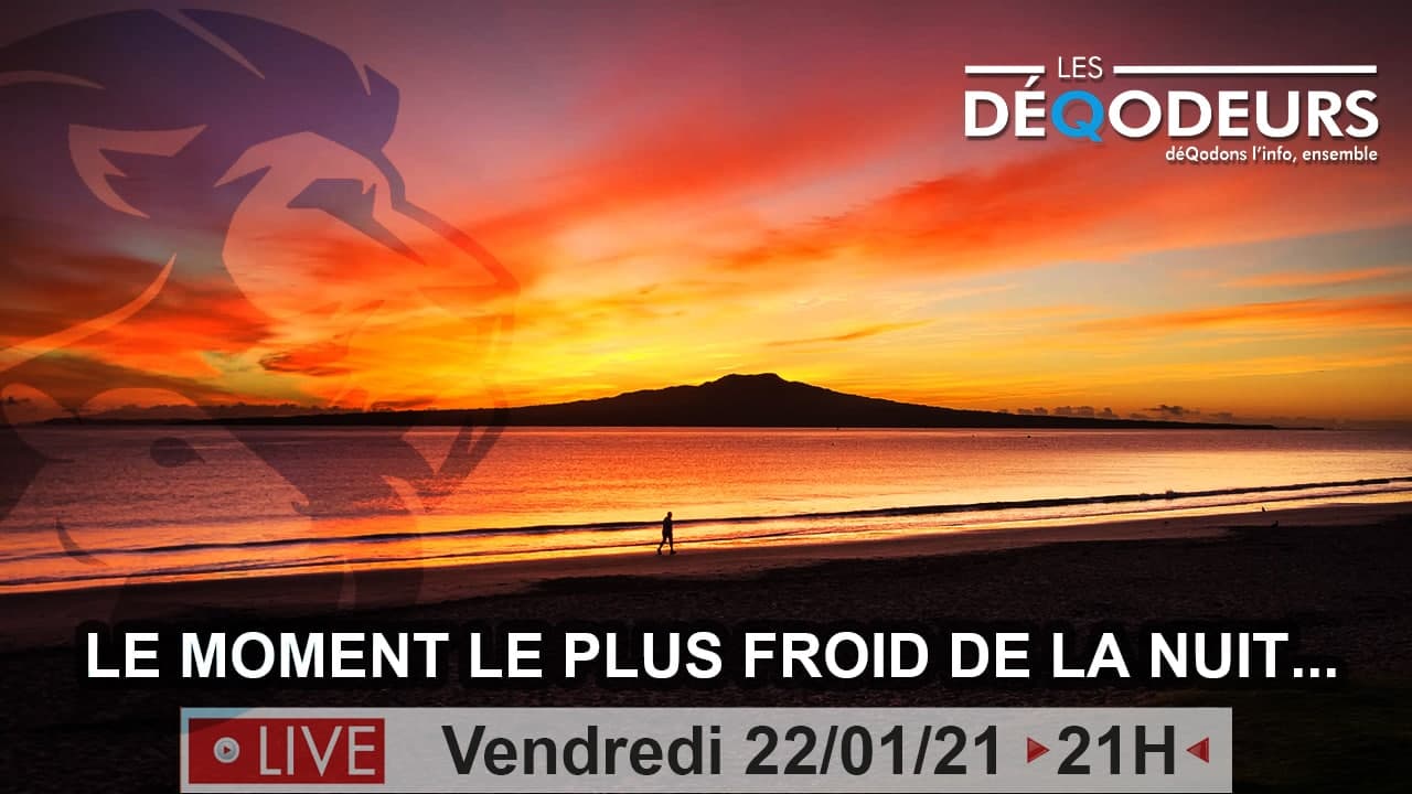 Le premier Live de l'ère de la transition ! (live du 22 janvier)