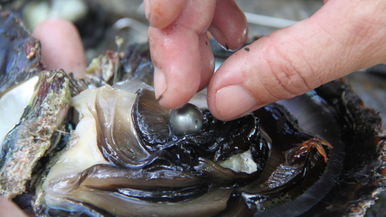 The Holy Ghost: What the Holy Ghost wants for people