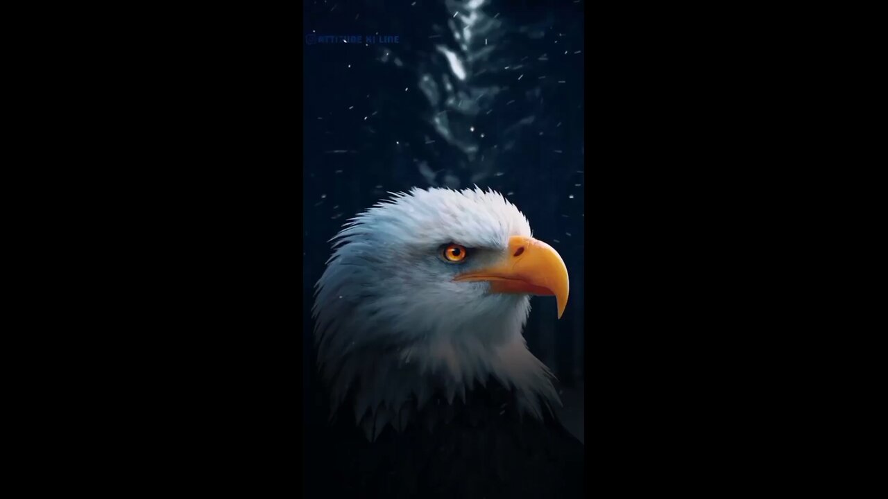 ππΏππΏ