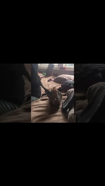 Maggie - 28 august 23 we are having a visitor