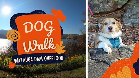 Short Sweet Dog-Friendly Walk - Watauga Dam Overlook, Elizabethton Tennessee