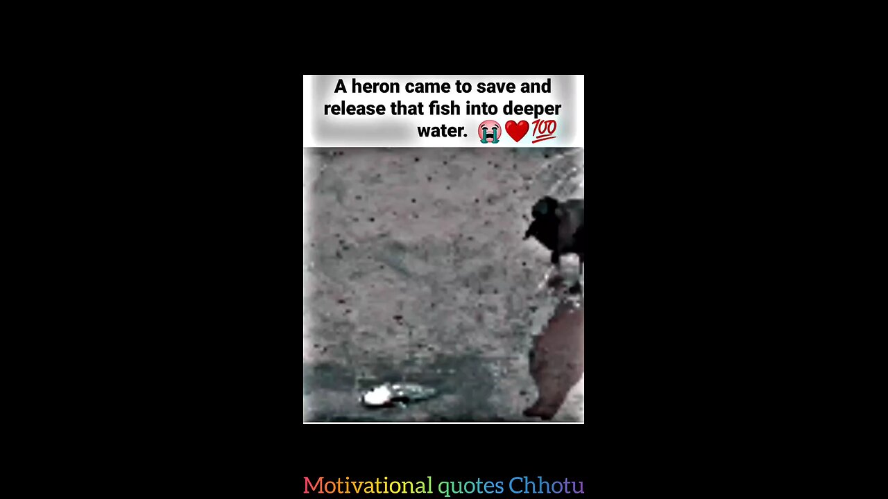 A heron came to. motivational status #motivation #whatsappstatus #youtube #attitu...