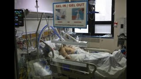 Are Ventilators killing Covid 19 patients