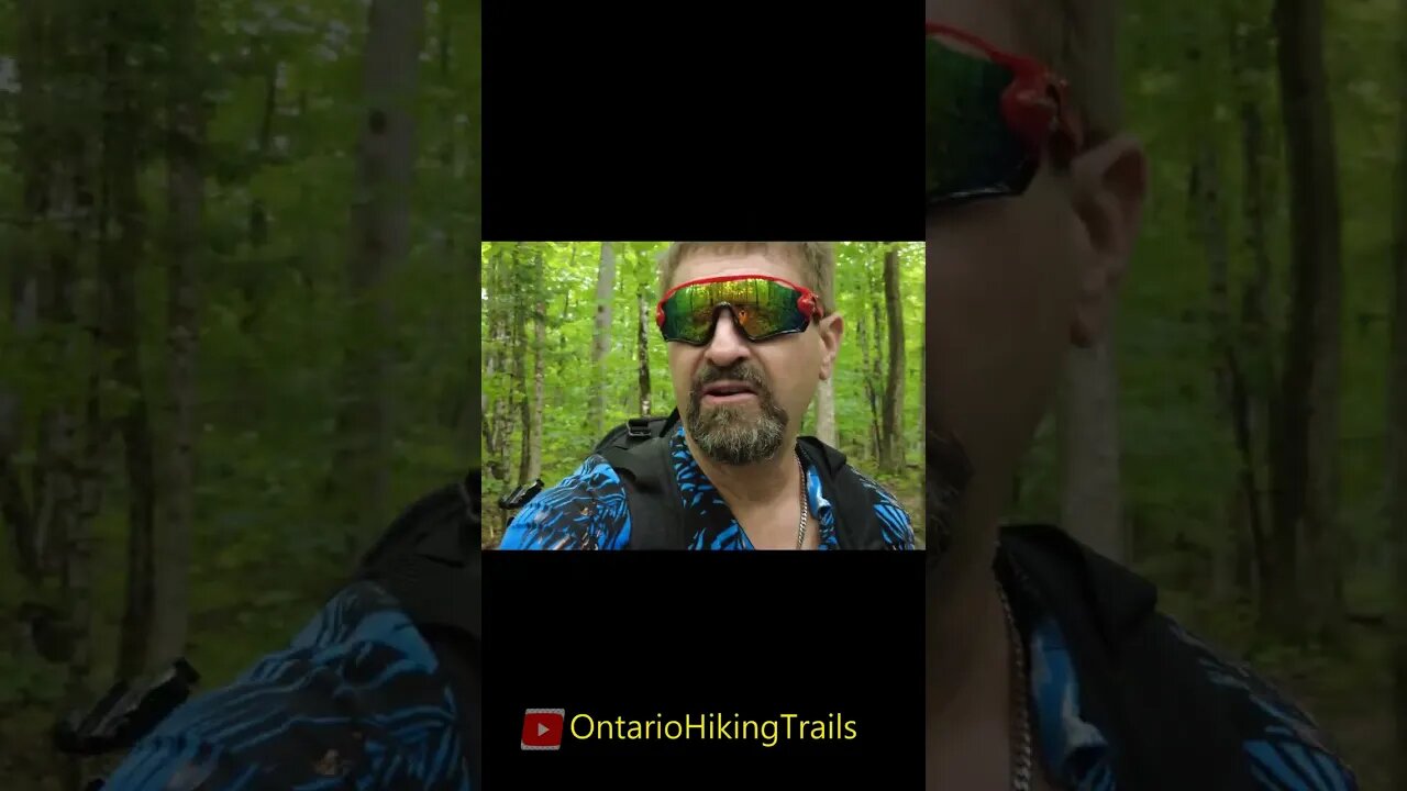 Ontario Hiking Trails #short #shortvideo #hiking