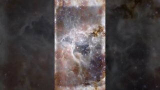 Tarantula Nebula #shorts #science #tech #astronomy #techmom