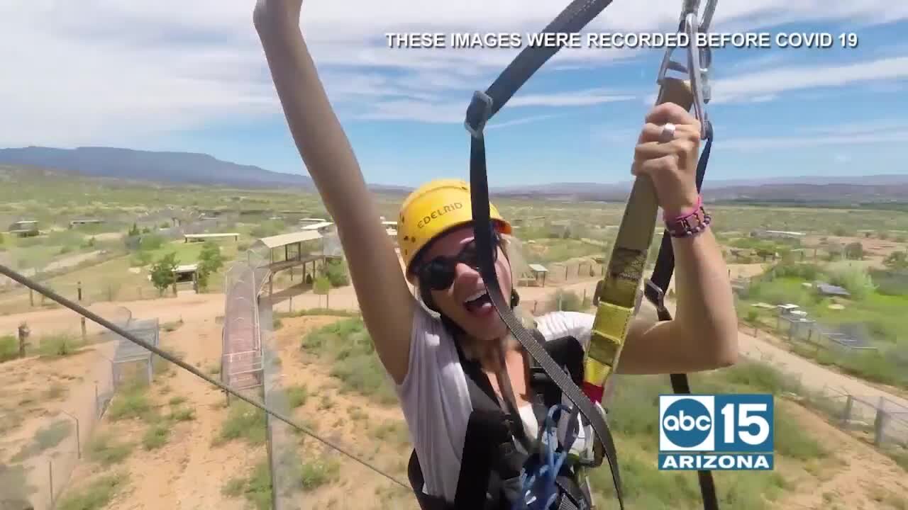 Predator Zip Lines: A memorable adventure for the whole family