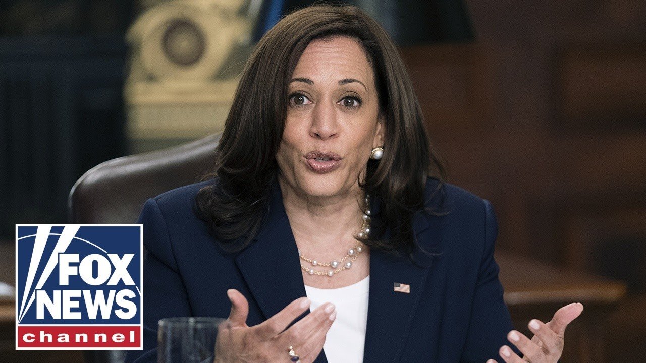 Media, Democrats claim Kamala Harris was never 'border czar'|News Empire ✅