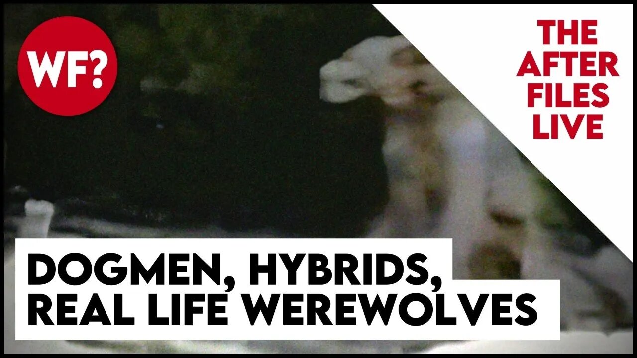 After Files Live: Dogmen, Hybrids, Werewolves