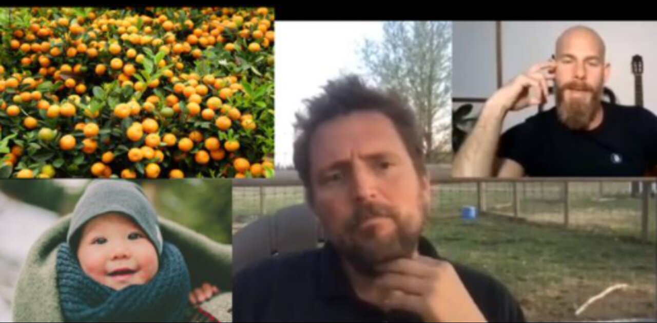 Owen Benjamin & Tom Barnett - Be Fruitful & Multiply: Supply Chains & Food Shortages