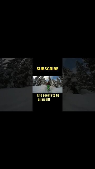 That's life! #shorts