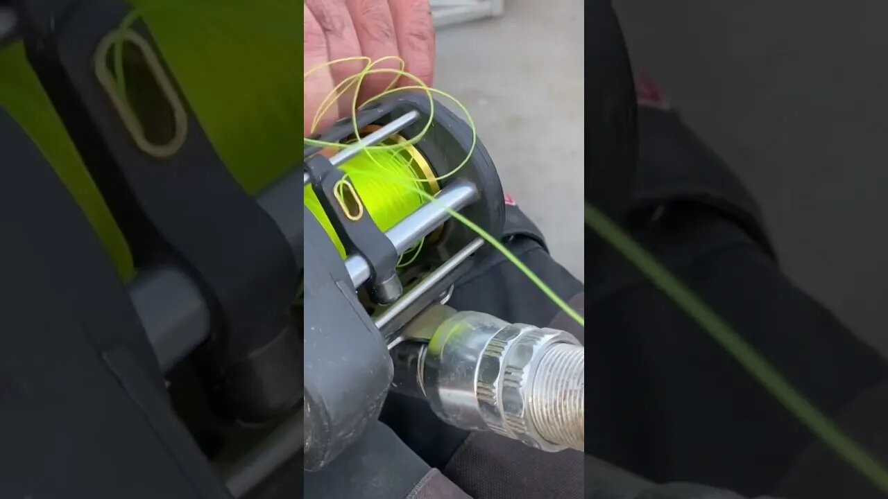 What Not To Do Fishing. Who’s Done This Before?? Bird Nest #outdoors #fishing