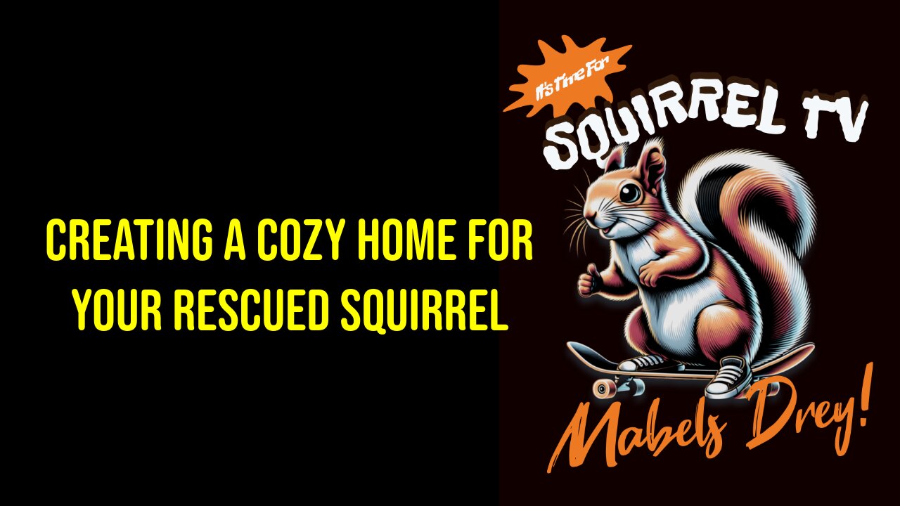 Creating a Cozy Home for Your Rescued Squirrel