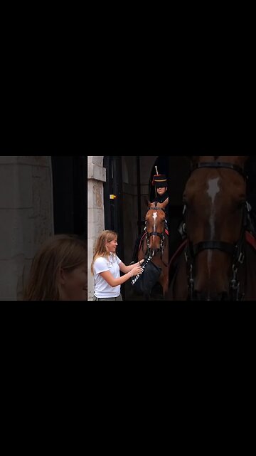 Give me back my back #horseguardsparade