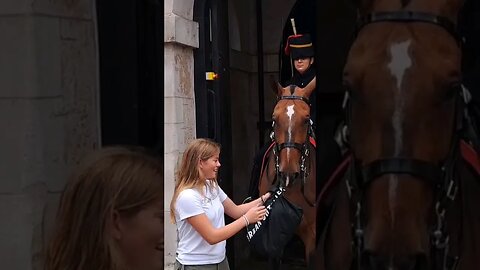 Give me back my back #horseguardsparade