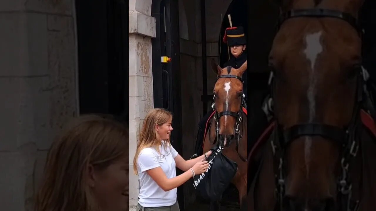 Give me back my back #horseguardsparade