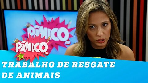 Conheça mais sobre trabalho de resgate de animais de Luisa Mell