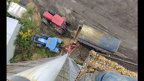 Top of silo as corn silage is blown in