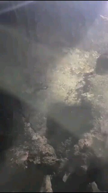 WARNING - VERY GRAPHIC! More of the Oct.7 aftermath